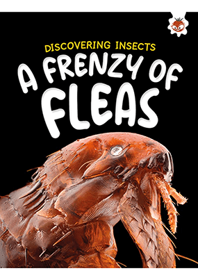 Discovering Insects - A Frenzy of Fleas