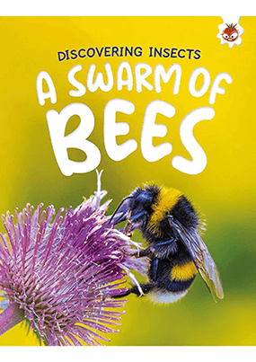 Discovering Insects - A Swarm of Bees