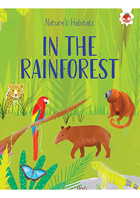 In the Rainforest