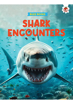Shark Encounters