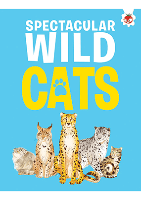 Spectacular Wild Cats